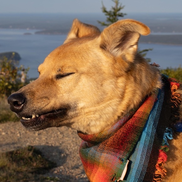 I’m not selling anything - Picture 1 of 1